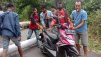 WhatsApp Image 2020-07-22 at 19.45.11