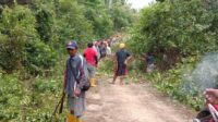 IMG-20210401-WA0011