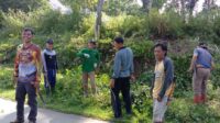 IMG-20210423-WA0003