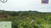 IMG-20220106-WA0002