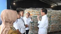 presiden-jokowi-luncurkan-penyalura