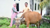 Kurban