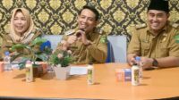 Wakil Walikota