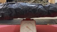 BB Ganja 700 gram