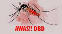 kasus-dbd-terus-meningkat-diskes-r