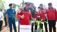 Walikota