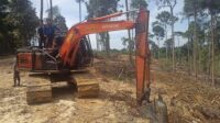 ppns-dlhk-riau-cari-pelaku-otak-pem