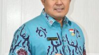 Dok