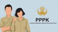 formasi-penerimaan-3379-jumlah-pe
