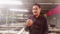 yuk-simak-peluang-bisnis-ikan-hias