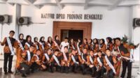 Dempo xl