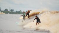 peselancar-dari-jepang-dan-bali-mul