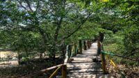 87715-news-disbudpar-pekanbaru-