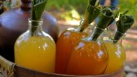 warisan-jamu-untuk-dunia
