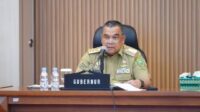 pemprov-riau-bentuk-tim-satgas-siag
