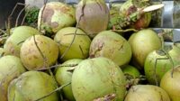 berikut-pergerakan-harga-komoditi-p