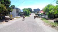 IMG-20240413-WA0000
