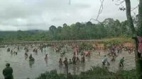 IMG-20240414-WA0010