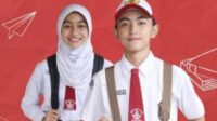 hari-ini-hasil-ppdb-sd-negeri-di-pe