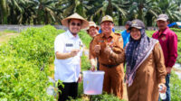 95166-news-persiapan-program-ma