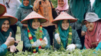 27293-news-tp-pkk-provinsi-riau