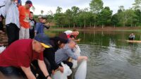 IMG-20241023-WA0048