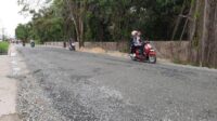 62781-news-overlay-jalan-bangau