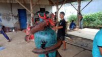 IMG-20241101-WA0120