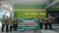 WhatsApp Image 2024-11-12 at 19.02.33