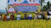 014806dd-1ad2-4026-ba54-d5812d2e1a22