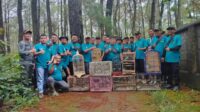 IMG-20241202-WA0029
