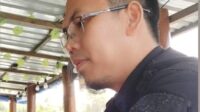 IMG-20241229-WA0015