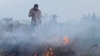 status-siaga-darurat-karhutla-riau