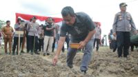 50039-news-pemko-pekanbaru-duku