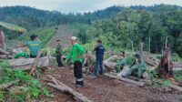 IMG-20250130-WA0001-1200x675
