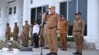 WhatsApp Image 2025-01-06 at 21.35.29