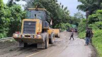 WhatsApp Image 2025-01-29 at 17.14.25