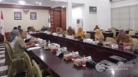 WhatsApp Image 2025-03-23 at 00.03.43