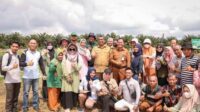Penjabat (Pj) Walikota Pekanbaru, Roni Rakhmat ikut menanam bibit jagung di lahan seluas 2 hektare