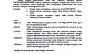 WhatsApp Image 2025-03-01 at 14.33.08