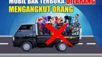 WhatsApp Image 2025-03-27 at 10.42.32