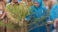 90712-news-wali-kota-pekanbaru-