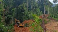 IMG-20250413-WA0089