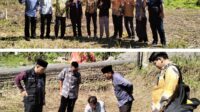 d33fbd9b-fe0b-4a9d-9035-5a3f8c69d188