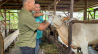 33315-news-distankan-pekanbaru-