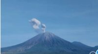 IMG_20250503_113624