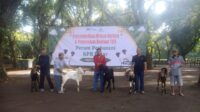 WhatsApp Image 2025-06-08 at 19.23.56