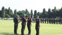 WhatsApp Image 2025-06-12 at 17.11.03