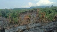 usai-bakar-lahan-untuk-kebun-sawit