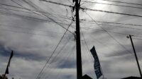 IMG-20250813-WA0005